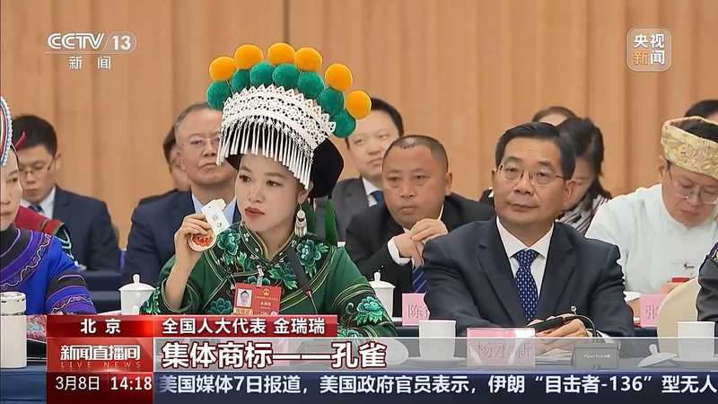  绣针舞动间，古老街巷苏醒；代表们讲述文化如何留住人心。 文化旅游 绣针舞动间，古老街巷苏醒；代表们讲述文化如何留住人心。 文化旅游