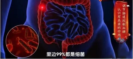冷却米饭暗藏健康玄机;抗性淀粉开启肝脏修复新路径。 健康养生