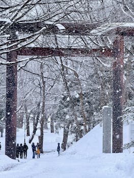 历史沉冤待雪，追索日本劫掠文物刻不容缓