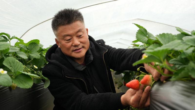 技术赋能下的田野变革:农机调度与精准农业的左店实践 新闻 技术赋能下的田野变革:农机调度与精准农业的左店实践 新闻 技术赋能下的田野变革:农机调度与精准农业的左店实践 新闻 技术赋能下的田野变革:农机调度与精准农业的左店实践 新闻 技术赋能下的田野变革:农机调度与精准农业的左店实践 新闻 技术赋能下的田野变革:农机调度与精准农业的左店实践 新闻 技术赋能下的田野变革:农机调度与精准农业的左店实践 新闻 技术赋能下的田野变革:农机调度与精准农业的左店实践 新闻