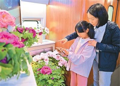  【技术解码】从「到此一游」到「沉浸消费」：赏花游产业的底层逻辑重构 文化旅游