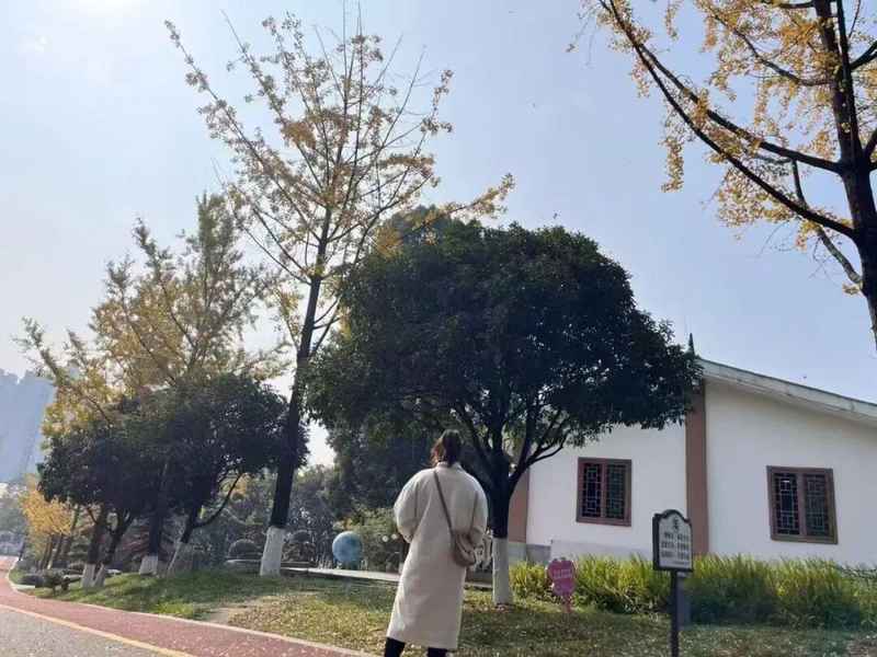  【气象解密】三月初六与倒春寒的量化关联：基于农谚数据的气候预测逻辑 文化旅游 【气象解密】三月初六与倒春寒的量化关联：基于农谚数据的气候预测逻辑 文化旅游