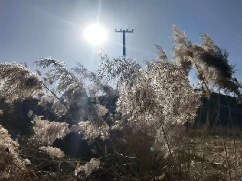 【气象解密】三月初六与倒春寒的量化关联：基于农谚数据的气候预测逻辑 文化旅游 【气象解密】三月初六与倒春寒的量化关联：基于农谚数据的气候预测逻辑 文化旅游