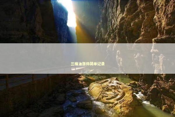 三桶油涨停简单记录