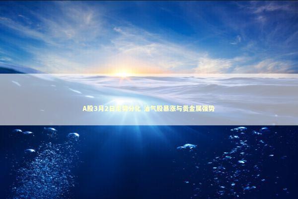 A股3月2日走势分化 油气股暴涨与贵金属强势