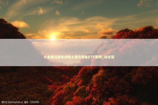 小金属狂飙突进稀土涨价有色ETF涨停_议论型