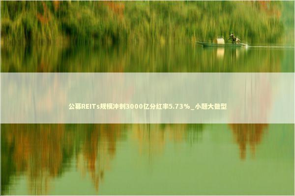 公募REITs规模冲刺3000亿分红率5.73%_小题大做型