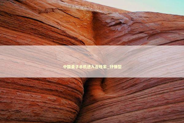 中国量子手机进入百姓家_抒情型