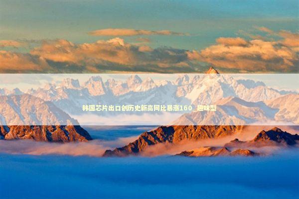 韩国芯片出口创历史新高同比暴涨160_趣味型