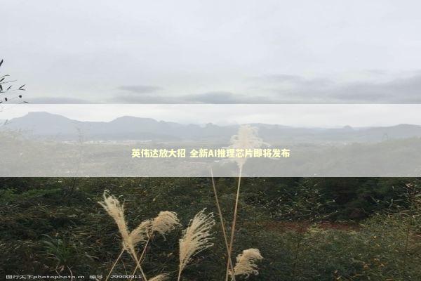 英伟达放大招 全新AI推理芯片即将发布
