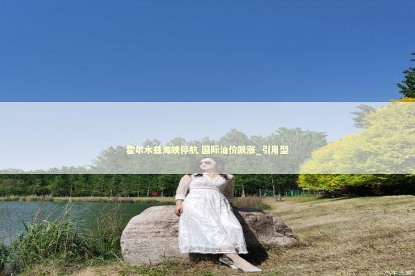 霍尔木兹海峡停航 国际油价飙涨_引用型