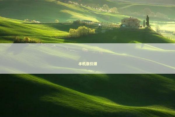 手机涨价潮
