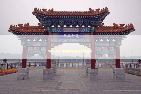 Visa调研 中国数字消费领跑亚太