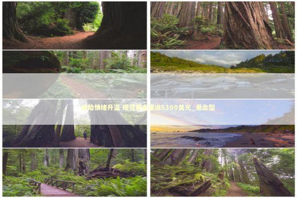 避险情绪升温 现货黄金重返5300美元_悬念型