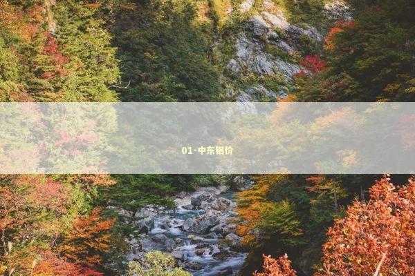 01-中东铝价