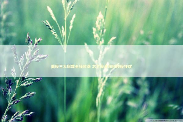 美股三大指数全线收涨 芯片股暴涨科技股狂欢