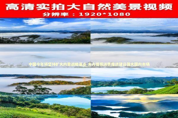 中国今年将坚持扩大内需战略基点 大力提振消费推进建设强大国内市场