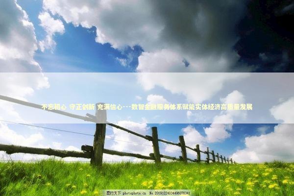不忘初心 守正创新 充满信心---数智金融服务体系赋能实体经济高质量发展