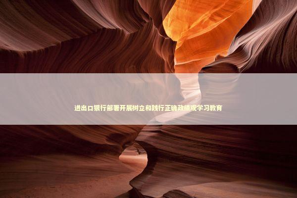 进出口银行部署开展树立和践行正确政绩观学习教育