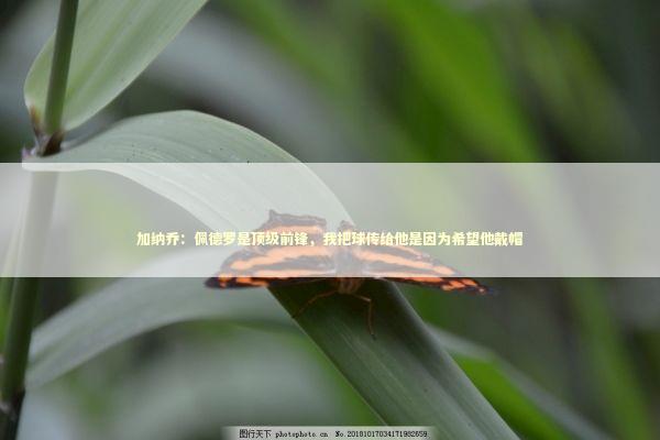 加纳乔：佩德罗是顶级前锋，我把球传给他是因为希望他戴帽