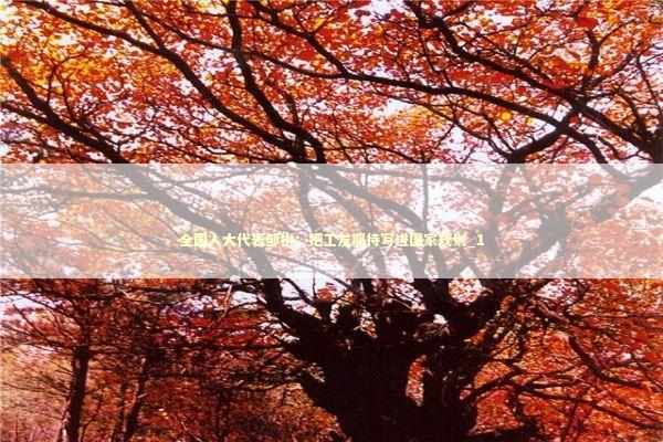 全国人大代表邹彬：把工友期待写进国家规划_1