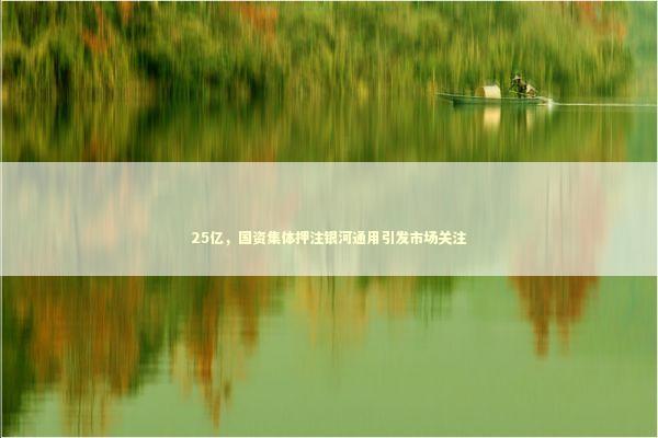 25亿，国资集体押注银河通用引发市场关注