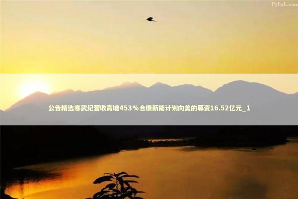 公告精选寒武纪营收高增453%合康新能计划向美的募资16.52亿元_1