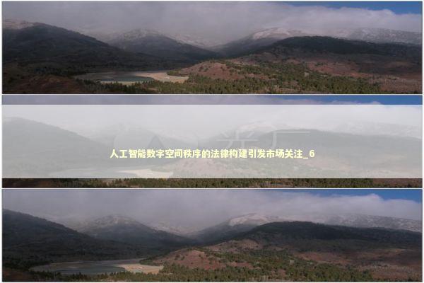 人工智能数字空间秩序的法律构建引发市场关注_6