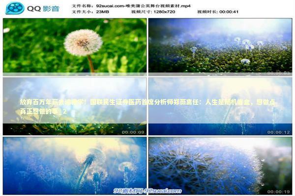 放弃百万年薪去读佛学！国联民生证券医药首席分析师郑薇离任：人生是随机盲盒，想做点真正想做的事_2