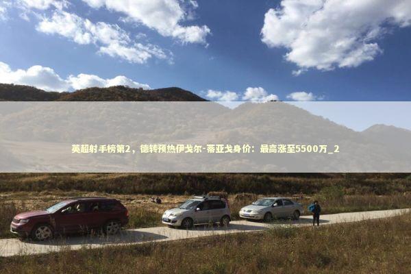英超射手榜第2，德转预热伊戈尔-蒂亚戈身价：最高涨至5500万_2