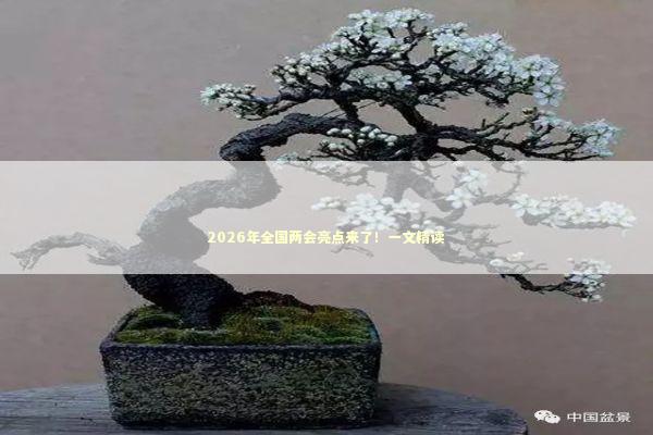 2026年全国两会亮点来了！一文精读
