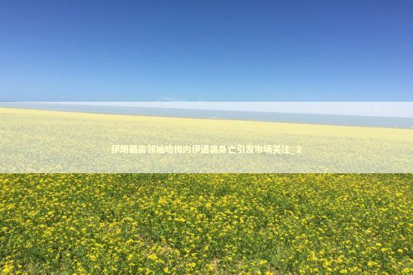 伊朗最高领袖哈梅内伊遇袭身亡引发市场关注_2