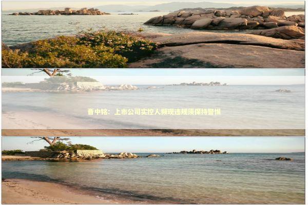 曹中铭：上市公司实控人频现违规须保持警惕