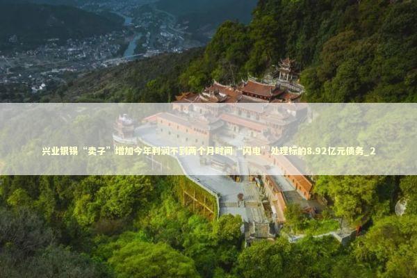 兴业银锡“卖子”增加今年利润不到两个月时间“闪电”处理标的8.92亿元债务_2