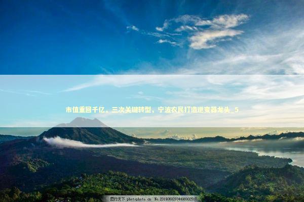 市值重回千亿，三次关键转型，宁波农民打造逆变器龙头_5