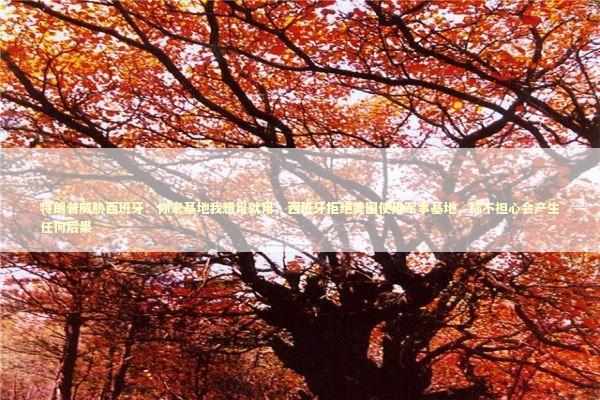 特朗普威胁西班牙：你家基地我想用就用；西班牙拒绝美国使用军事基地，称不担心会产生任何后果