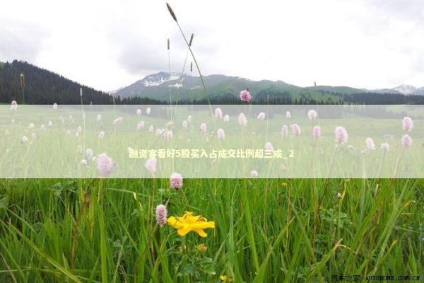 融资客看好5股买入占成交比例超三成_2