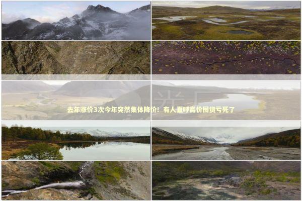 去年涨价3次今年突然集体降价！有人直呼高价囤货亏死了