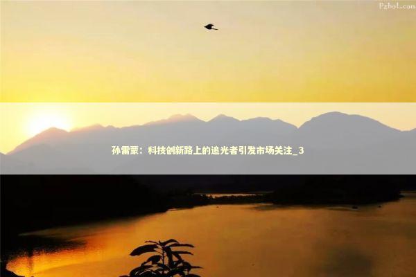 孙雷蒙：科技创新路上的追光者引发市场关注_3