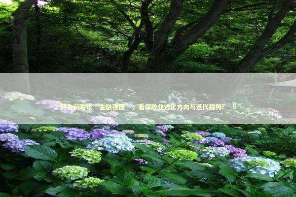 两会前瞻论“金融强国”，看保险业进化方向与迭代趋势！_5