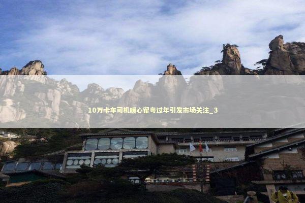 10万卡车司机暖心留粤过年引发市场关注_3