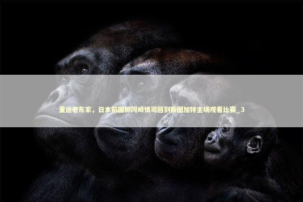 重返老东家，日本前国脚冈崎慎司回到斯图加特主场观看比赛_3