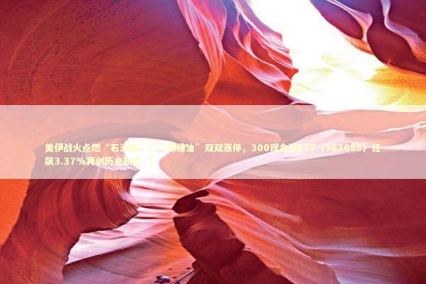 美伊战火点燃“石油链”!“两桶油”双双涨停,300现金流ETF(562080)狂飙3.37%再创历史新高_3 美伊战火点燃“石油链”!“两桶油”双双涨停,300现金流ETF(562080)狂飙3.37%再创历史新高_3 新闻
