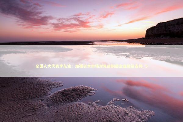 全国人大代表李东生：加强资本市场对先进制造企业融资支持_5