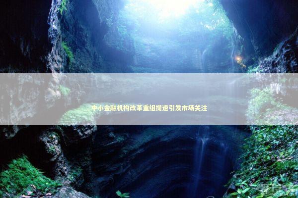 中小金融机构改革重组提速引发市场关注