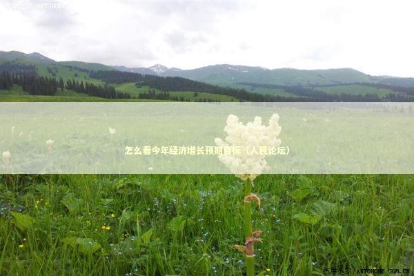怎么看今年经济增长预期目标（人民论坛）