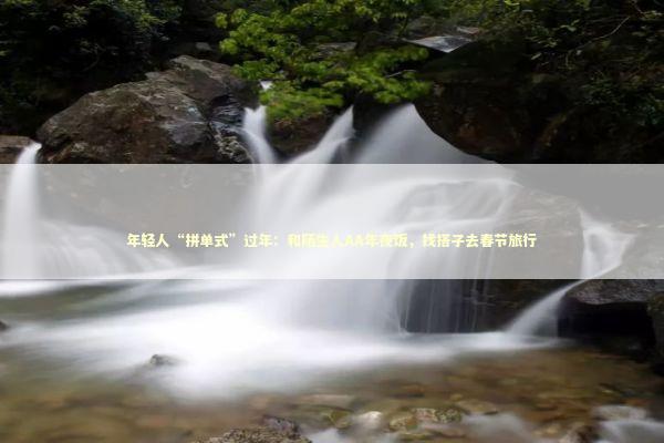 年轻人“拼单式”过年：和陌生人AA年夜饭，找搭子去春节旅行