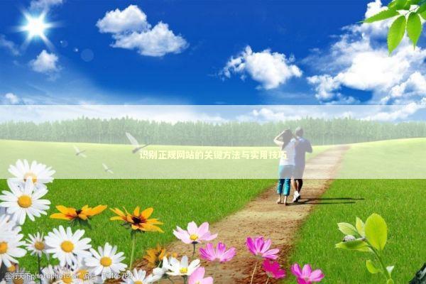 识别正规网站的关键方法与实用技巧 识别正规网站的关键方法与实用技巧 IT技术