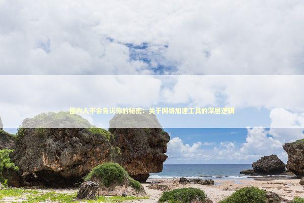 圈内人不会告诉你的秘密：关于网络加速工具的深层逻辑