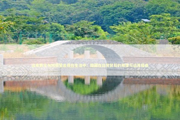 这串数字为何频繁出现在生活中：隐藏在日常背后的规律与运用指南